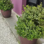 Horská chata Casa Neus *