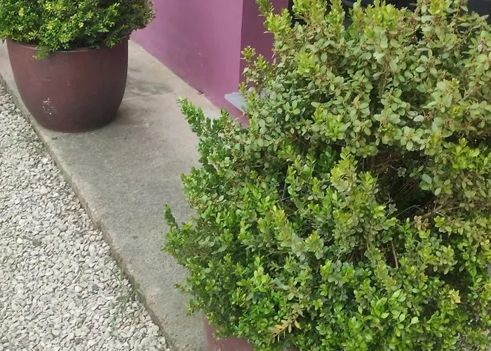 Dağ evi Casa Neus *